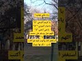 ردد معي بهدوء يا كريم اكرمني 3 ياجبار أجبرني 3 ياغني أغنني 3 اللهم صل وسلم على محمد 3 أستغفر ا ردد معي بهدوء يا كريم اكرمني 3 ياجبار أجبرني 3 ياغني أغنني 3 اللهم صل وسلم على محمد 3 أستغفر ا