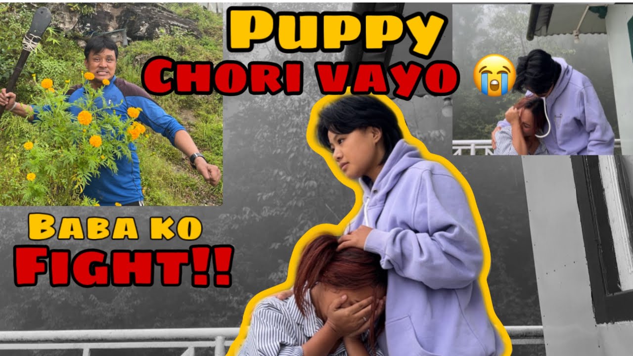 GHAR LYAKO DUI DINMA PUPPY HARAYO!! BABA KO FIGHT PARYO !! GAULEY JINDAGI ON FIRE!!