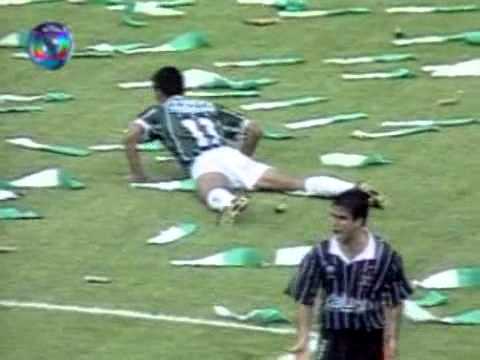 Palmeiras 1-1 Corinthians, Palmeiras Campeão Brasileiro de 1994