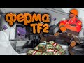 КАК Создать ФЕРМУ ТФ2? КЕЙСЫ TEAM FORTRESS 2