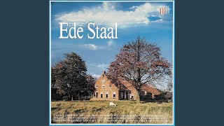 Video thumbnail of "Ede Staal - Het het nog nooit zo donker west"