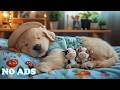 12 Hours Of Dog Calming Music 🌿 Separation Anxiety Music 🐶 Healing Sleep Aid &amp; Dog Relaxation Music