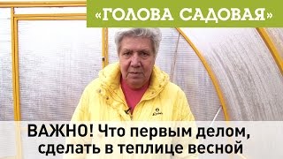 Голова садовая - ВАЖНО! Что первым делом, сделать в теплице весной