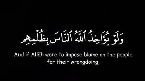 كروما قران كريم شاشة سوداء/ولو يؤاخذ الله الناس بظلمهم/القارئ عبد الرحمن مسعد سورة النحل تلاوة مؤثرة