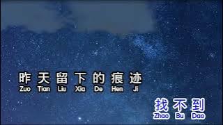 张柏芝 Cecilia Cheung 星語心願 xing yu xin yuan