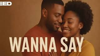 The Open Vibe Project - Wanna Say (Original Mix)