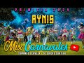 AYNIS PERÚ MIX CARNAVALES 2025 Tomando Cerveza Yo Quiero Contigo VIDEO OFICIAL 2025