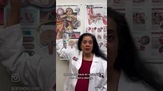 Exclusive Ask The Expert: The Difference Between an Earache & Ear Infection Profile