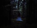 or are they fairies lighting the way to fairyland? #fairies #fireflies #enchantedforest #fairyforest