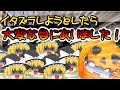 ゆっくり茶番 ハロウィンなのでイタズラしようとしたら大変な目にあいました ゆっくり茶番 ハロウィンなのでイタズラしようとしたら大変な目にあいました
