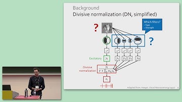 CCN 2019: GS-1.1: Learning Divisive Normalization in Primary Visual Cortex
