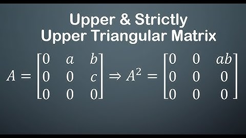 Lec - 13 Upper Triangular | Strictly Upper Triangular Matrix | CSIR NET | IIT JAM MA | GATE MA | DU
