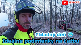 Download Lagu Ďalší chladný deň v lese pri ohni | Ťažba hrubších bukov a dubov, Husqvarna 572XP v akcii | Amles MP3