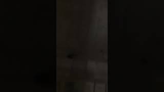 Rzgar Shanadari Saz2020