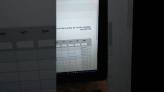 Budget management system