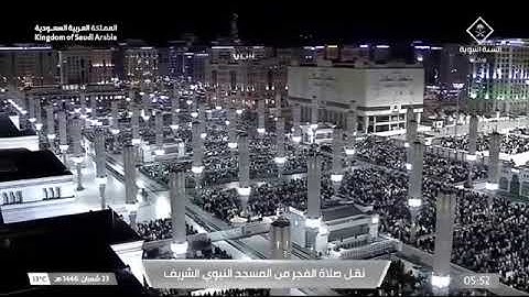 صلاة الفجر من المسجد النبوي للشيخ محمد برهجي | السبت 23 شعبان 1446هـ | سورة التغابن