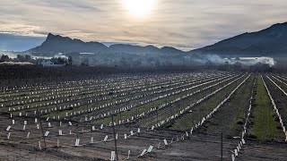 "Paraje de La Parra" Cieza. Región de Murcia.