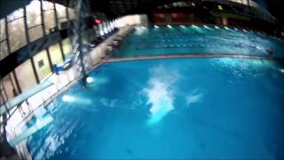 Splshdiving in Sindelfingen - Fun4you