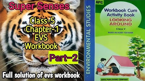 Super Senses Class 5 EVS- Workbook (Part-2) Chapter-1 fully solved exercise @NCERTTHEMIND