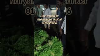 46rs kothimbir naryangaon market #viral #farming #agriculture