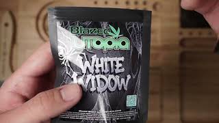 WHITE WIDOW