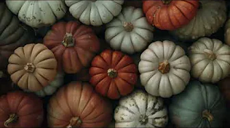 Cozy Autumn Pumpkin Harvest TV Screensaver, Warm Seasonal Vibes, Muted Pumpkin Harvest TV Art