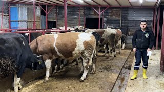 Kurbanlik Ahirimizin Ölçüleri̇ Ve Mali̇yeti̇