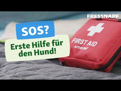 Video: Entzündliche Hauterkrankung Bei Hunden