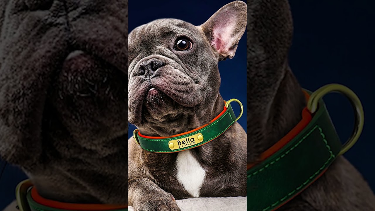 Custom Leather Dog Collar - Soft & Personalized!