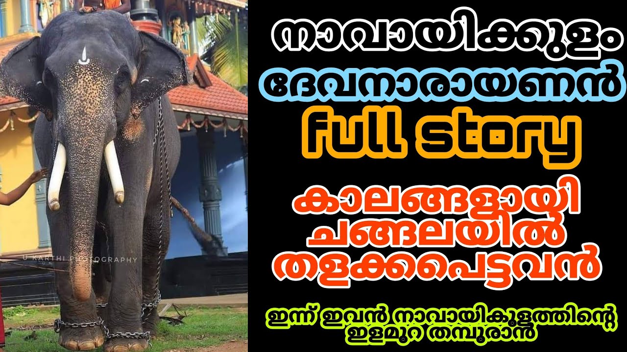 നാവായിക്കുളം ദേവനാരായണൻ full story naavayikulam devanarayanan full story