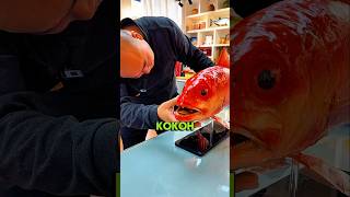 Ikan Pajangan yang Terlihat Nyata #fish #replika #shorts