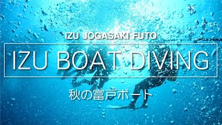 【ダイビング】女性ダイバーが伊豆のボートを楽しむ！透明度も青さも沖縄並み！