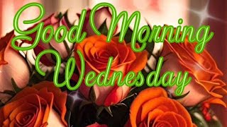 Wednesday blessings #goodmorning #message #prayer #encouragement