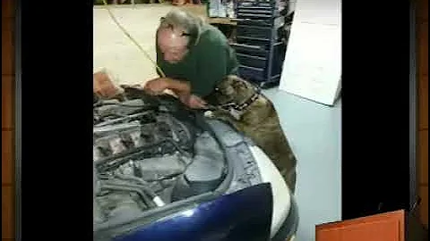 mechanics helper