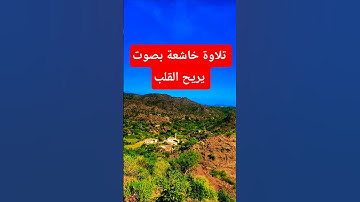 تلاوة خاشعة بصوت يريح الأعصاب #تلاوة #elmulquranعلم #اكسبلور #المصحف #قران_كريم #trend #duet