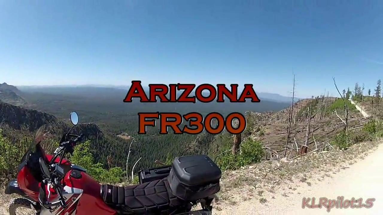 KLR650 Arizona Forest Road 300 YouTube