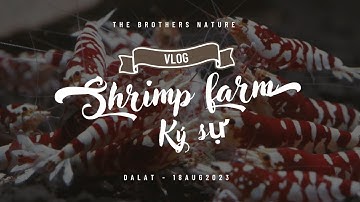 THAM QUAN TRẠI NHỎ NHƯNG TÉP KHỦNG CỦA THÀNH VIÊN THE BROTHERS NATURE - ĐÀ LẠT 08/2023