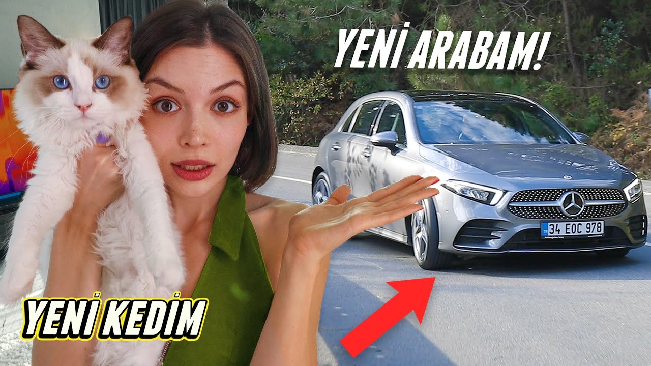 YENİ ARABAM VE YENİ KEDİM ASLAN!