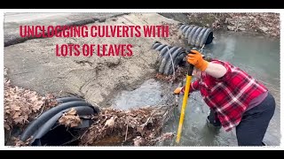 UNCLOGGING CULVERTS WITH RUSHING WATER AND TONS OF LEAVES 02/2024 NT#31