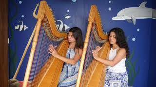 Merceditas - harp duo