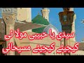 Syedi ya habibi molai naat urdu lyricsnaat urdu lyricsshafaq urooj