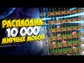 АНАРХИЯ - БЕЗУМНЕЙШАЯ ИДЕЯ ДЛЯ ФАРМИЛКИ МИРНЫХ МОБОВ