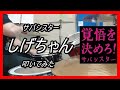 サバシスター_しげちゃん_叩いてみた