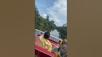 Thumbnail of Airboat ride swamp tour New Orleans