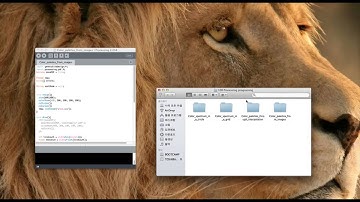 [Processing Programing]Color palettes from images