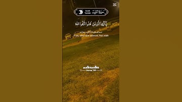 Qari Abdul basit#سورة_الرحمن #سورة_البقرة #سورة_الواقعة