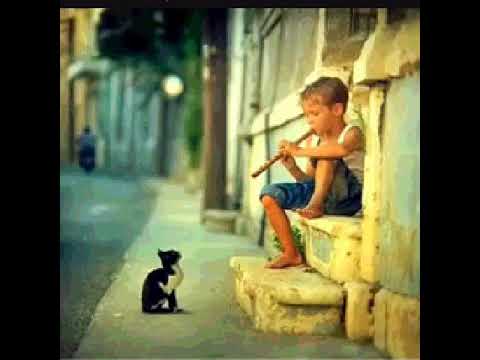 حبك لهذه الاغنية ليس له حدود اغنية يازهري اداء خولة خربوش