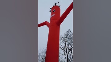 Air Dancer Tube Man