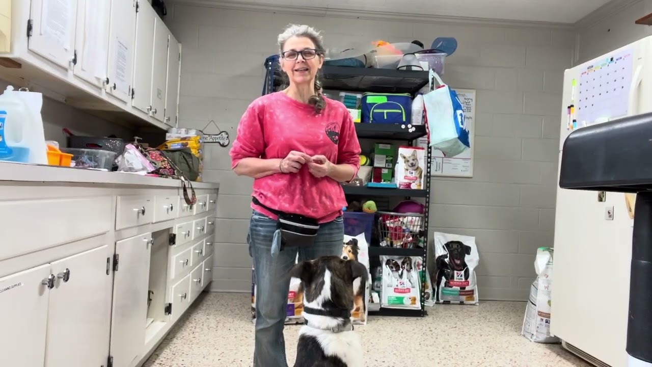 Loading the Marker 2/16/2026