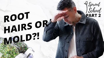 Sprout School Part 2 - Growing Fresh Sprouts in a Jar Kit in Just a Few Days